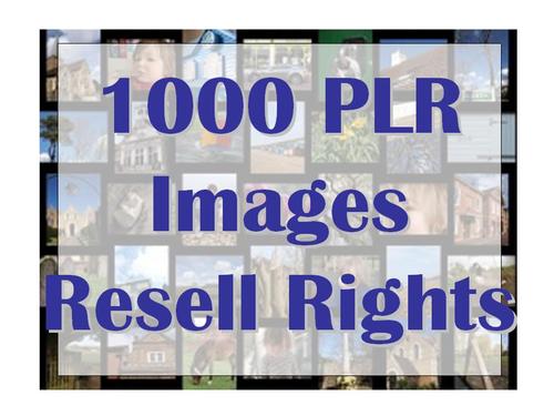 Product picture 1000 PLR Images in 10 Niches + Bonus with Resell Rights
